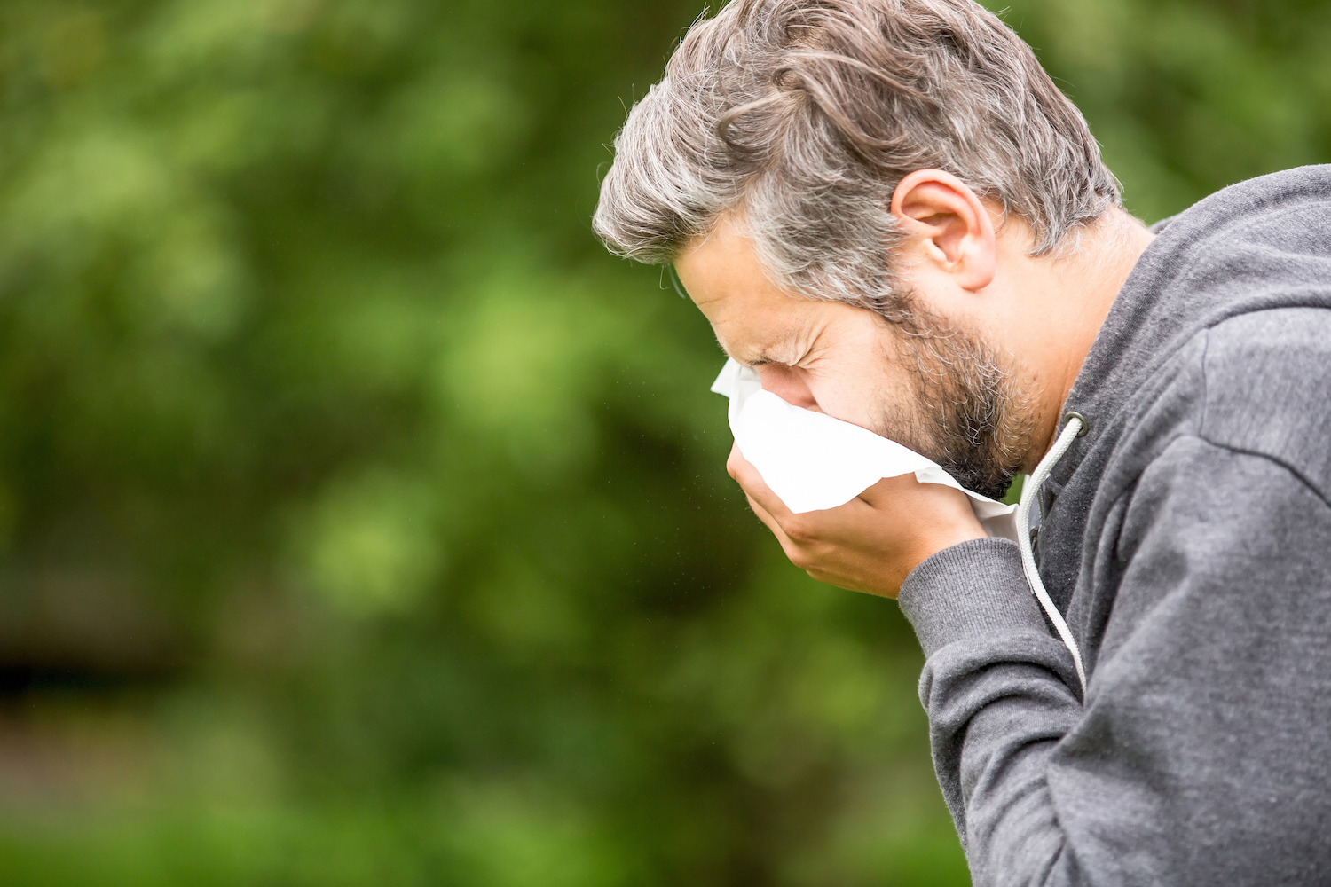 allergi