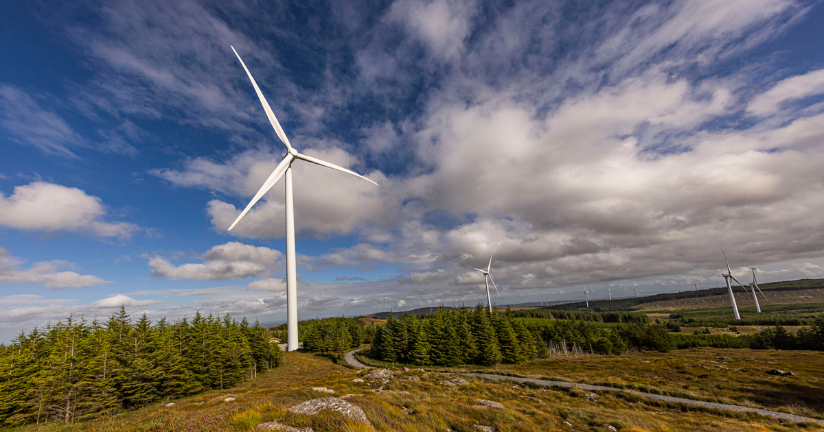 Windmill farm