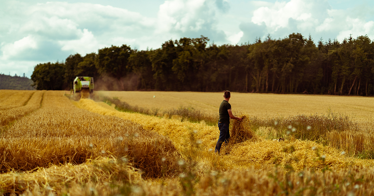 man in a field