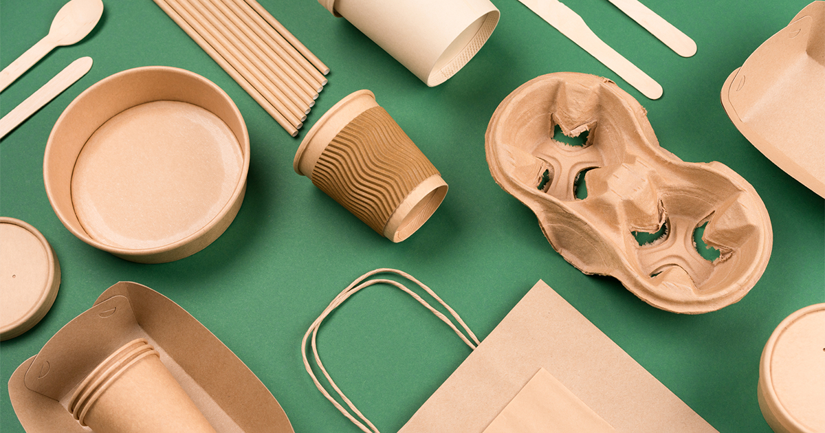 Street food paper packaging, recyclable paperware, zero waste packaging concept
