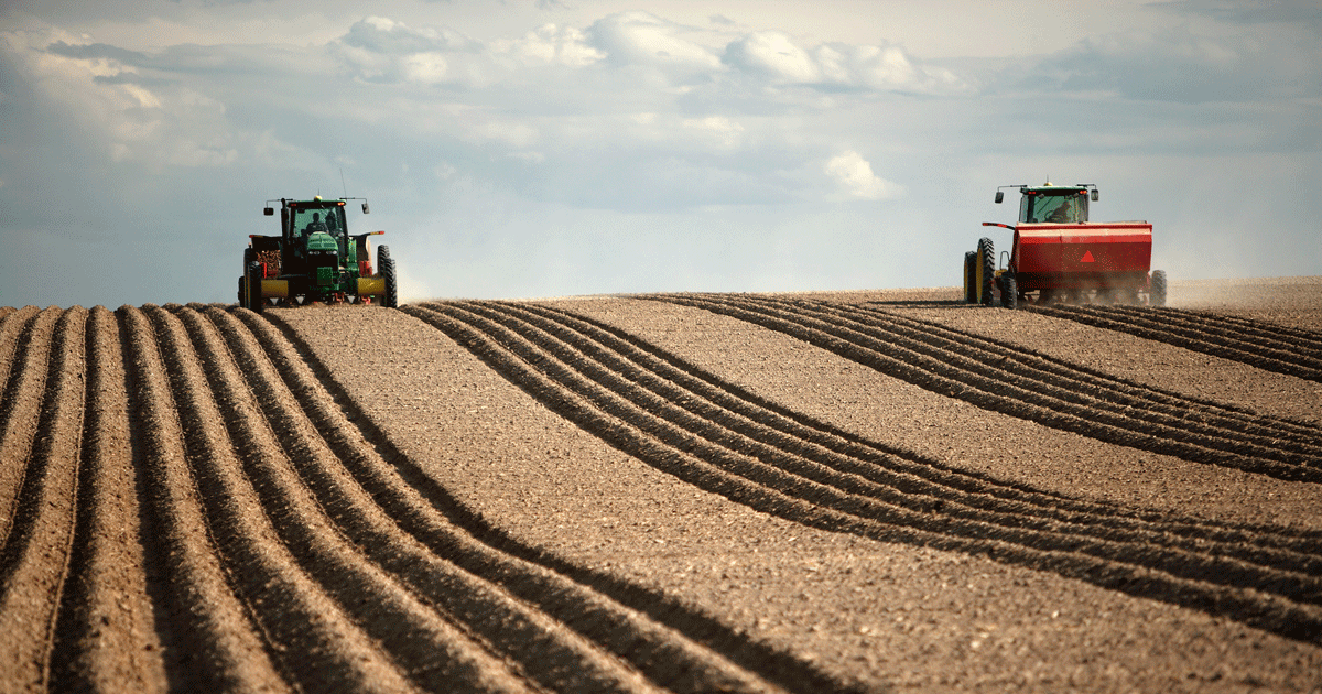 two Tractors planting fields