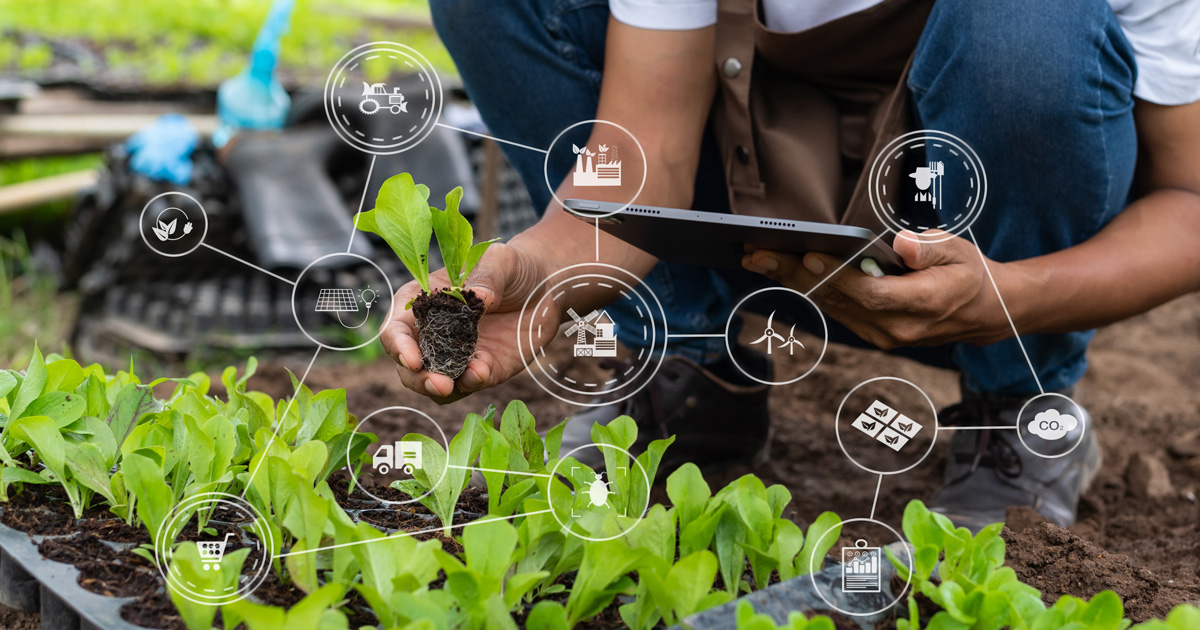 Agriculture technology farmer woman holding tablet or tablet technology to research about agriculture problems analysis data and visual icon.