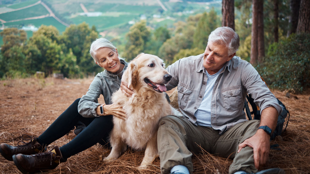 Dog petting, hiking and a couple in nature for travel, relaxation and break on a mountain. Happy, relax and an elderly man and woman with an animal on a walk in the mountains and resting together