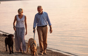 Enjoying a day out with their dogs