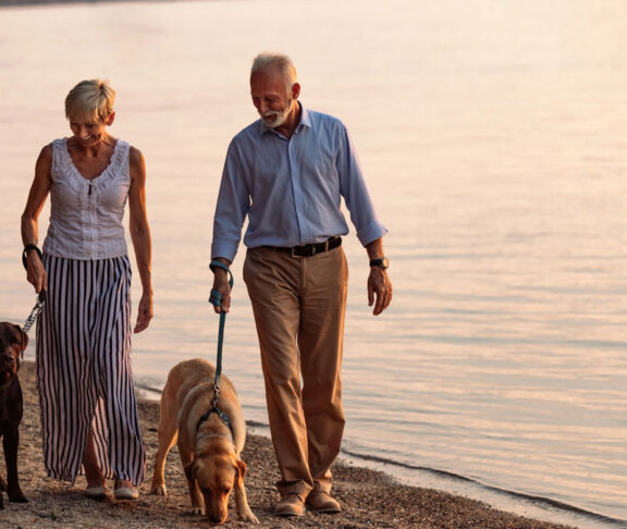 Enjoying a day out with their dogs