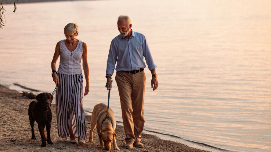Enjoying a day out with their dogs