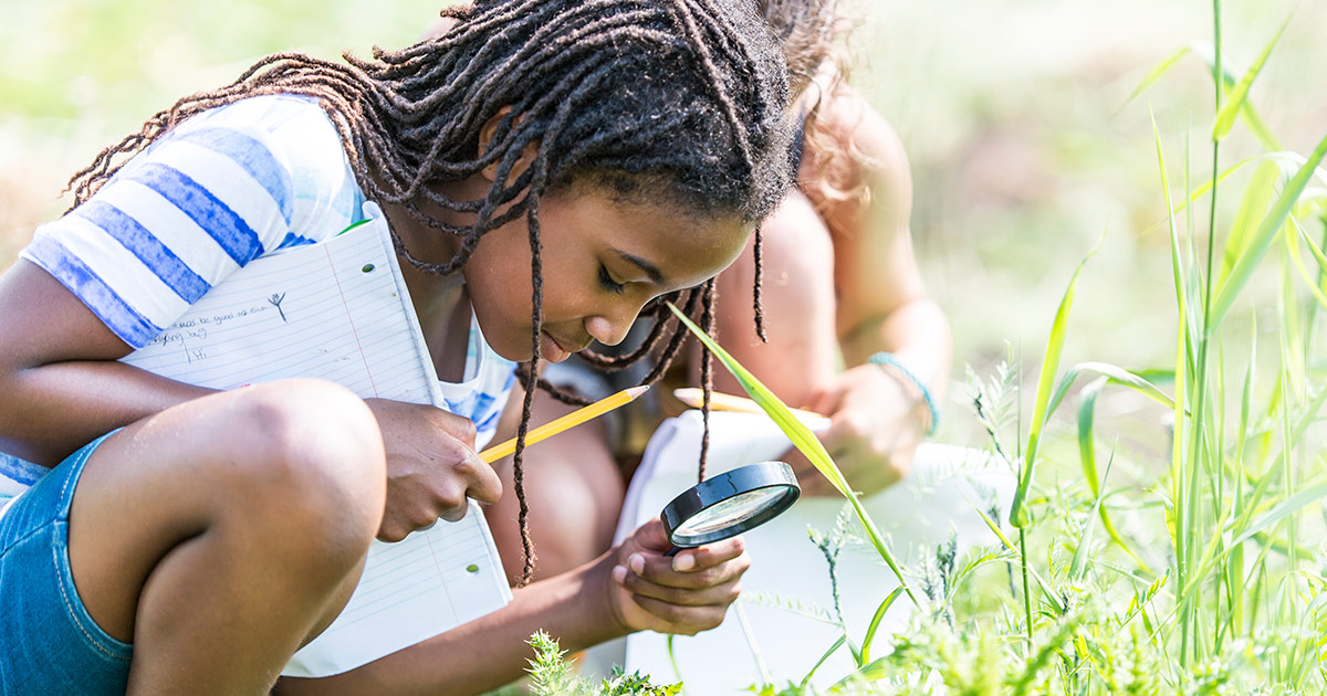 Young girl studying bugs