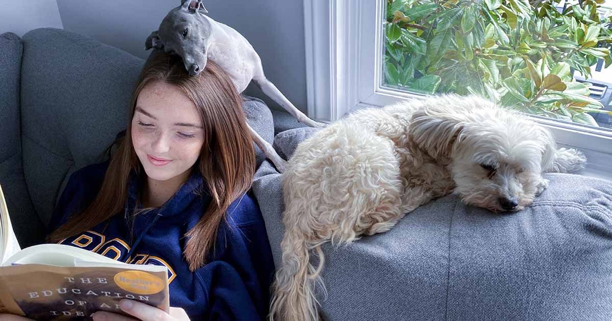 girl reading book surrounded by dogs