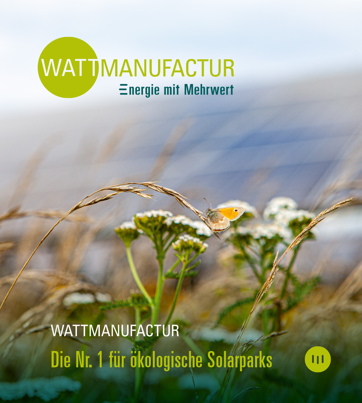 Wattmanufactur. - Die Nr. 1 für ökologische Solarparks