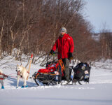 Ola Martinsen på hundeslede