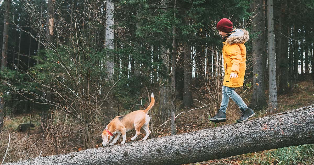 Child and dog walking over a log