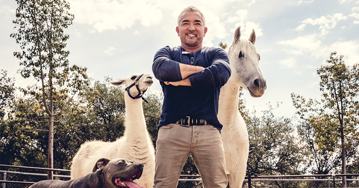 Cesar Millan