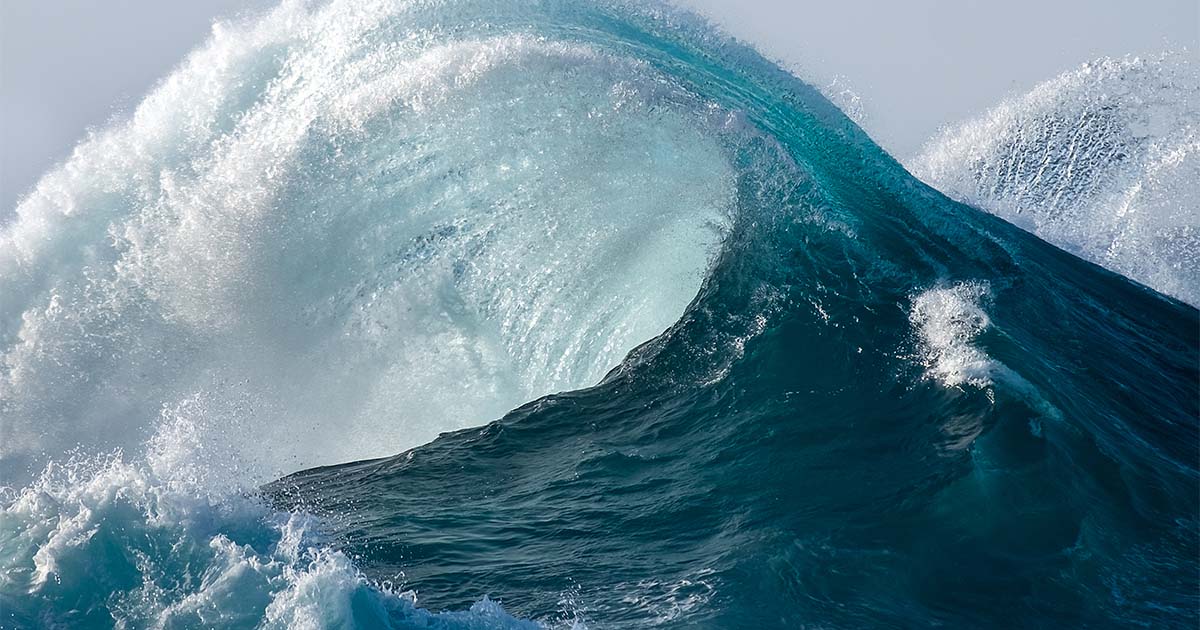 ocean wave garnier spotless september
