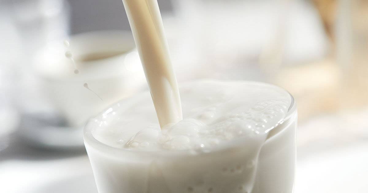 milkadamia_milk_glass