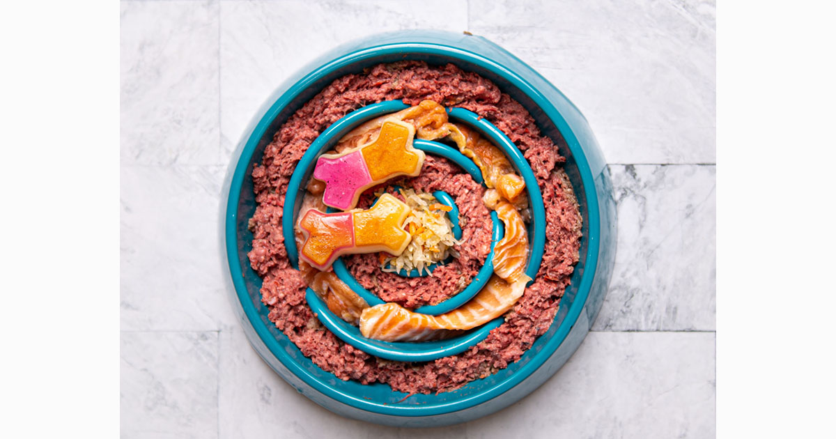 pet food in bowl