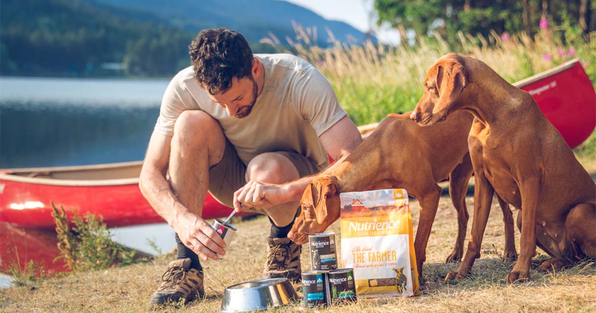 nutrience pet food