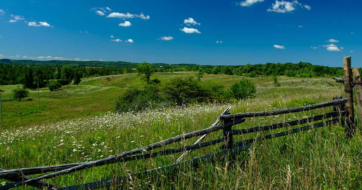 Forks of the Credit Provincial Park