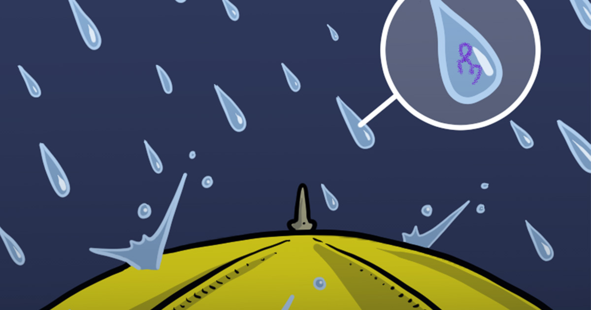 Rain-Let's talk science