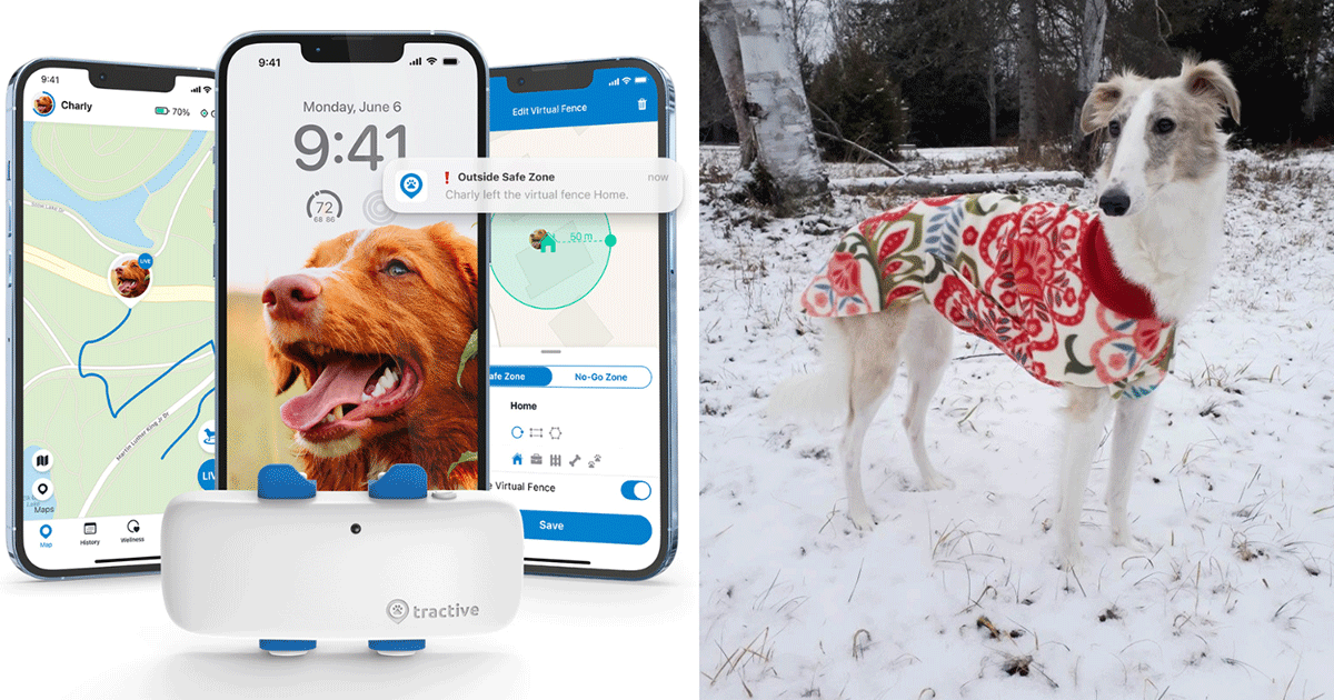 tractive gps dog tracker