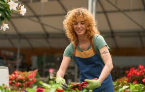 Gardener pruning flowers in greenhouse nursery