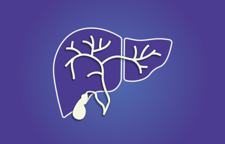 Internal Organ Liver anatomy illustration with gallbladder, common bile duct, right and left hepatic ducts. Outline of concaved liver with floating gallbladder, hepatic ducts and falciform ligament.