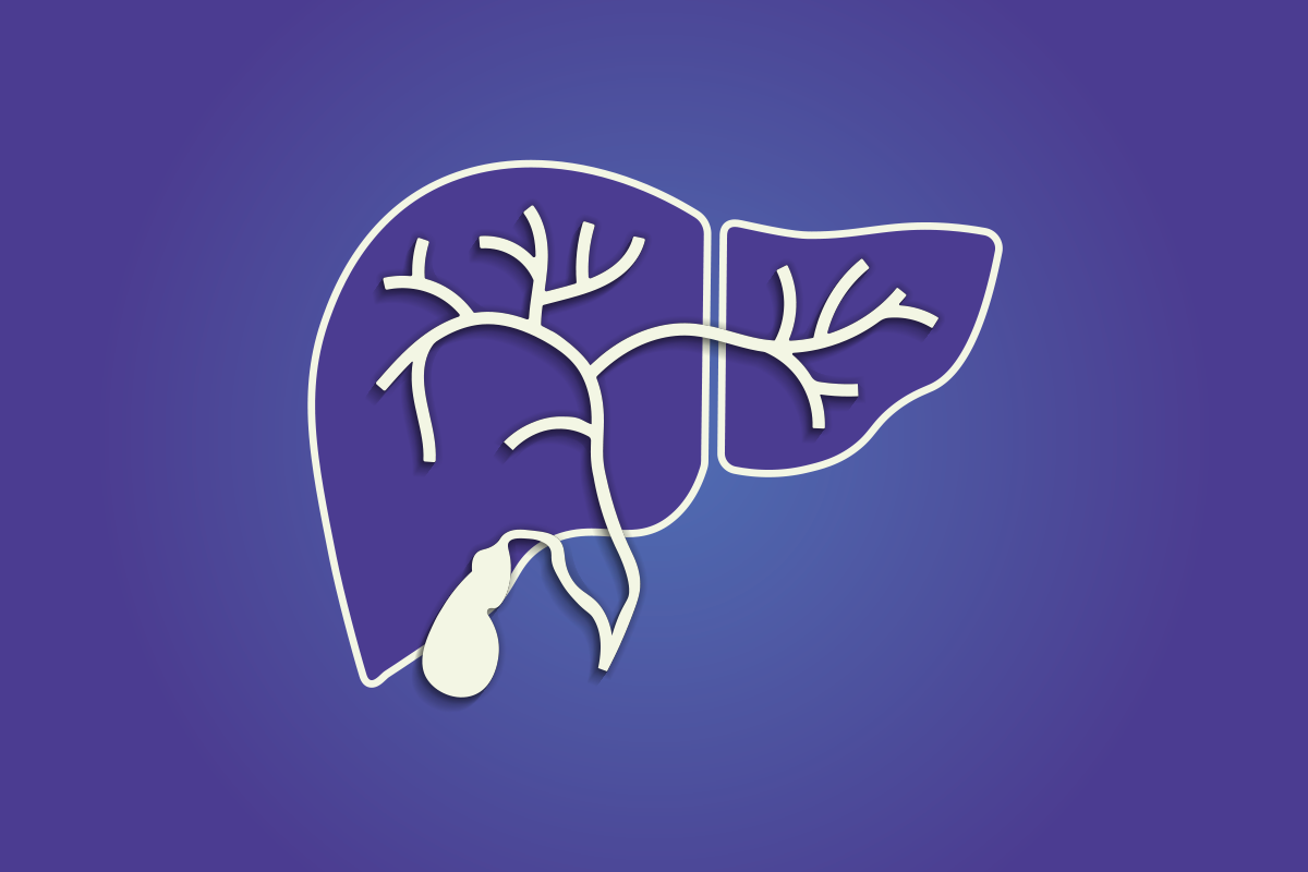 Internal Organ Liver anatomy illustration with gallbladder, common bile duct, right and left hepatic ducts. Outline of concaved liver with floating gallbladder, hepatic ducts and falciform ligament.
