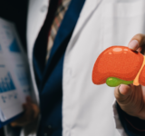 Lebermodell Arzt medizinisch professionelle Gesundheitsversorgung Anatomie Organ Mensch Körper Gesundheit Klinik Krankenhaus medizinische Tabelle Zwischenablage Gesundheitswesen Arbeiter Medizin Patientenversorgung medizinische Untersuchung intern