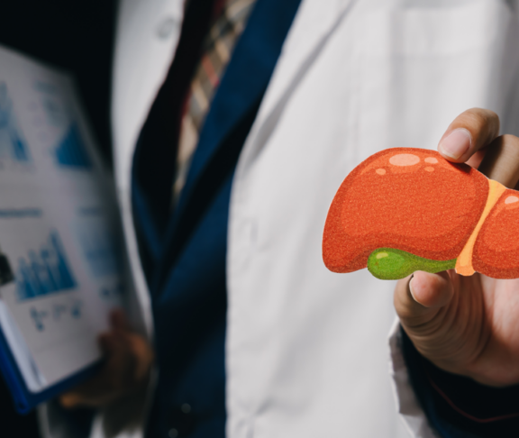 Lebermodell Arzt medizinisch professionelle Gesundheitsversorgung Anatomie Organ Mensch Körper Gesundheit Klinik Krankenhaus medizinische Tabelle Zwischenablage Gesundheitswesen Arbeiter Medizin Patientenversorgung medizinische Untersuchung intern