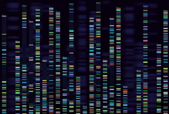 Genomic analysis visualization. Dna genomes sequencing, deoxyribonucleic acid genetic map and genome sequence analyse vector concept