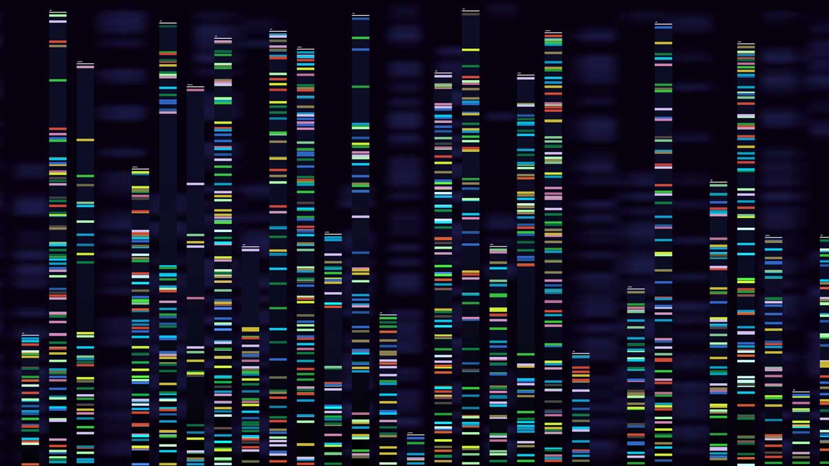 Genomic analysis visualization. Dna genomes sequencing, deoxyribonucleic acid genetic map and genome sequence analyse vector concept
