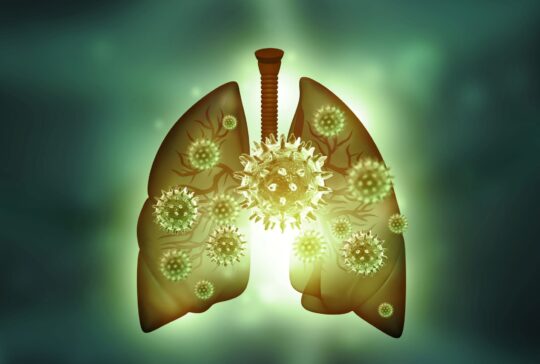 Human lungs virus infection