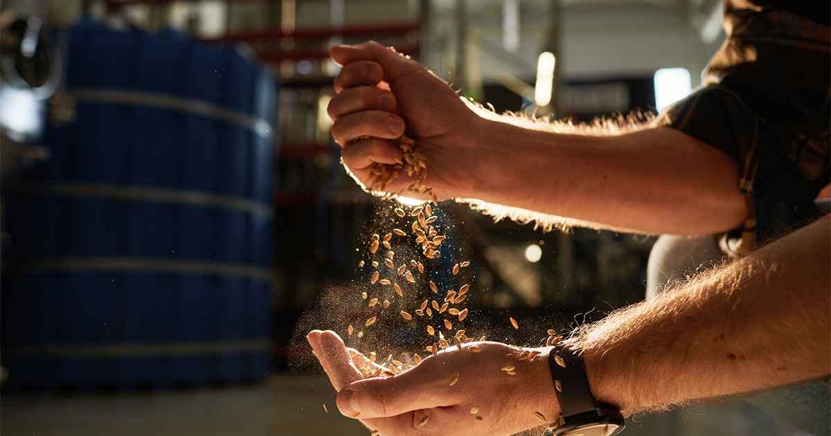 Male Hands Pouring Crops in Sunlight