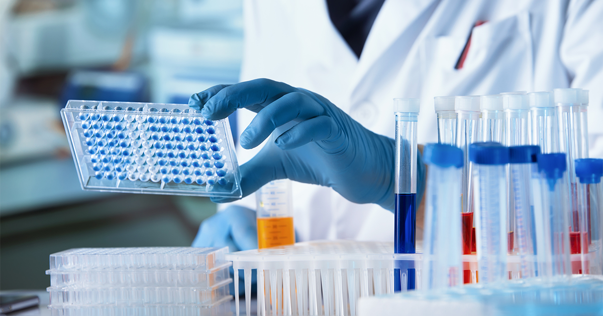 Doctor working with microplate for elisa analysis