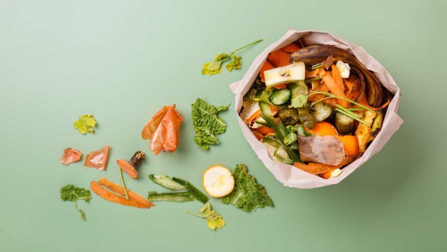 Sorted kitchen waste in paper eco bag on green background. Compost-container. Sustainable life style. Vegetable and fruit peels, scraps from food preparation collected in trash-pack for recycling