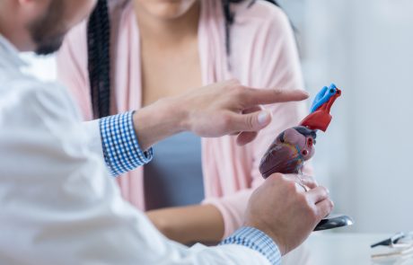 Unrecognizable doctor points to something on a human heart model. He is discussing his patient's diagnosis with the patient.