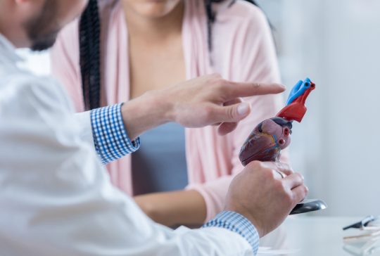 Unrecognizable doctor points to something on a human heart model. He is discussing his patient's diagnosis with the patient.
