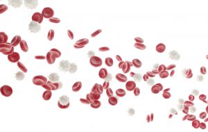 Red and white blood cells isolated on white background. Medical concept, 3d illustration