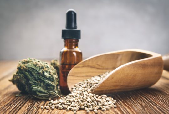 Cannabis oil and marijuana buds and seeds