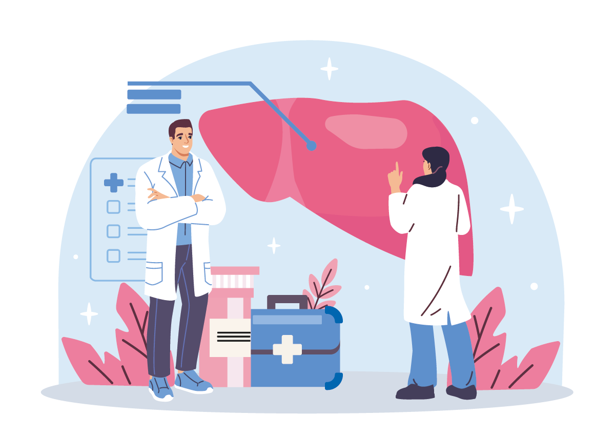 Zwei Ärzte untersuchen ein großes Leberdiagramm mit medizinischen Geräten, flacher Cartoon-Stil, auf hellblauem Hintergrund. Konzept der Leberdiagnostik und der Gesundheitsversorgung. Vektorgrafik