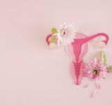 Gebärmutter und Blumen, weibliches Fortpflanzungssystem, Frauengesundheit, PCOS, gynäkologisches und Gebärmutterhalskrebskonzept