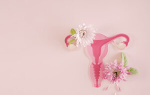 Gebärmutter und Blumen, weibliches Fortpflanzungssystem, Frauengesundheit, PCOS, gynäkologisches und Gebärmutterhalskrebskonzept