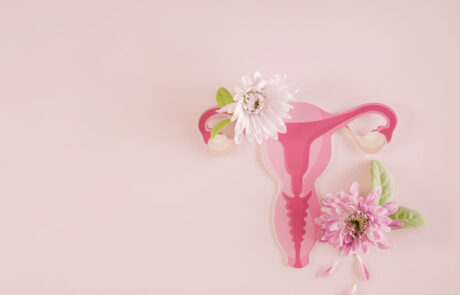 Gebärmutter und Blumen, weibliches Fortpflanzungssystem, Frauengesundheit, PCOS, gynäkologisches und Gebärmutterhalskrebskonzept
