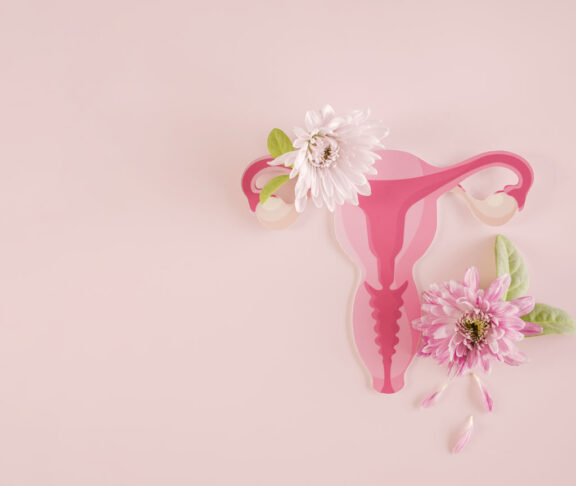 Gebärmutter und Blumen, weibliches Fortpflanzungssystem, Frauengesundheit, PCOS, gynäkologisches und Gebärmutterhalskrebskonzept