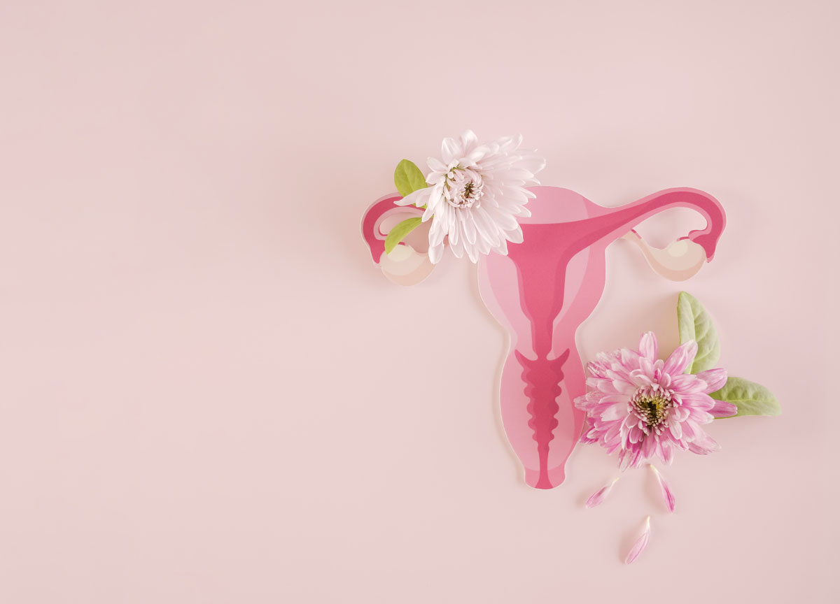 Gebärmutter und Blumen, weibliches Fortpflanzungssystem, Frauengesundheit, PCOS, gynäkologisches und Gebärmutterhalskrebskonzept