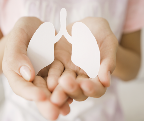 Hände halten Lunge, Welt-Tuberkulose-Tag, Welt-Kein-Tabak-Tag, Lungenkrebs, Lungenentzündung Tag, COPD, Organspende Konzept