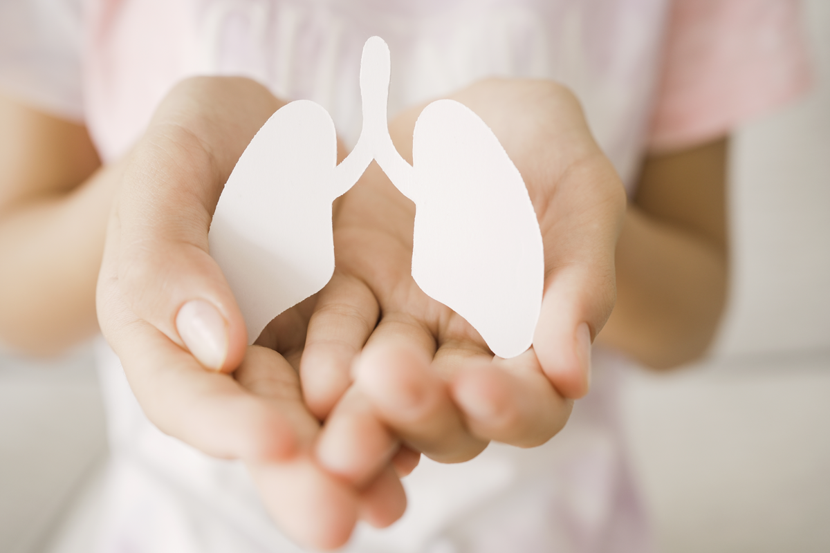 Hände halten Lunge, Welt-Tuberkulose-Tag, Welt-Kein-Tabak-Tag, Lungenkrebs, Lungenentzündung Tag, COPD, Organspende Konzept