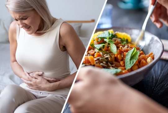 kuusi-seikkaa-suolistosta