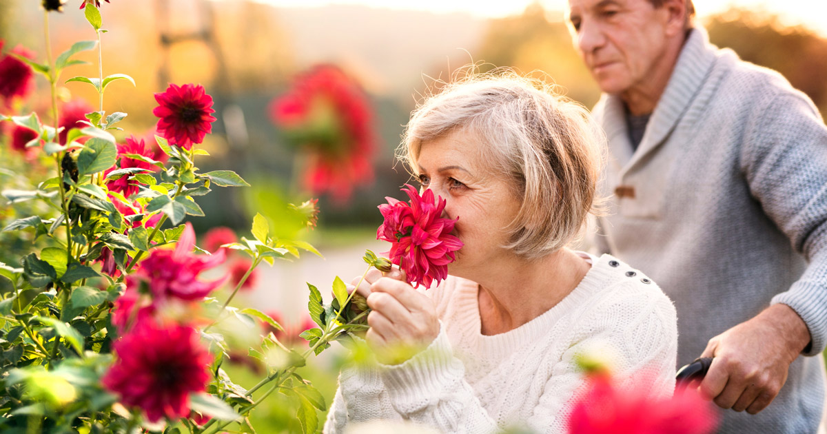 carer health