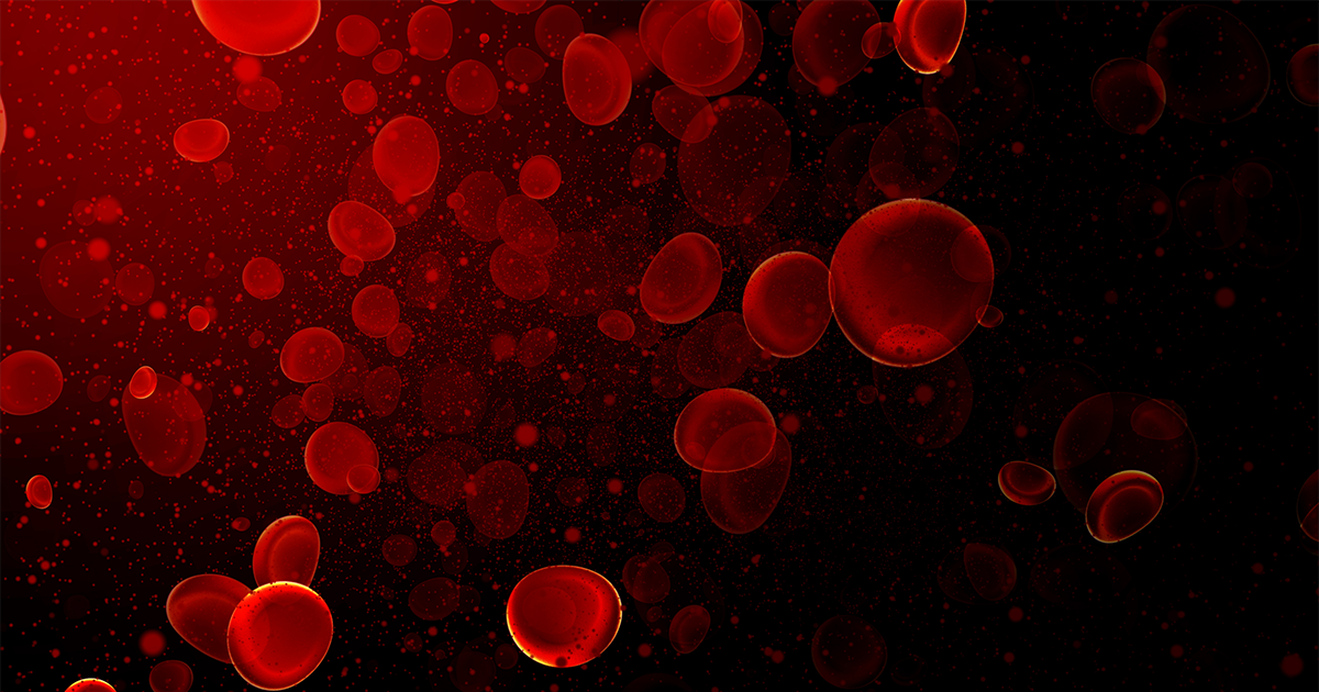 Blood cells, bacteria, and virus traveling through a vein.