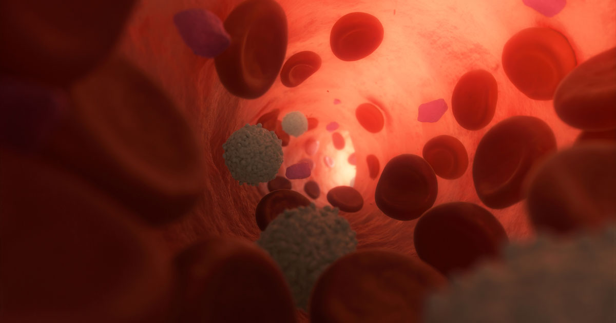 Healthy Blood Plasma with Cells flowing inside a Vein. 3d Illustration